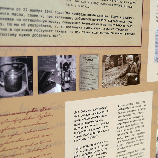 Источник: Анжела Мнацаканян, Фонтанка.ру