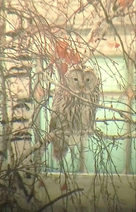 Источник: читатель НГС