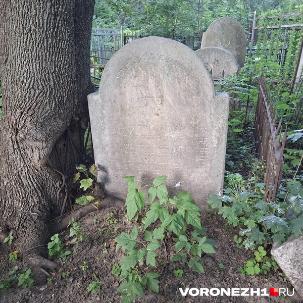 Источник: Алёна Воропаева / Voronezh1.ru
