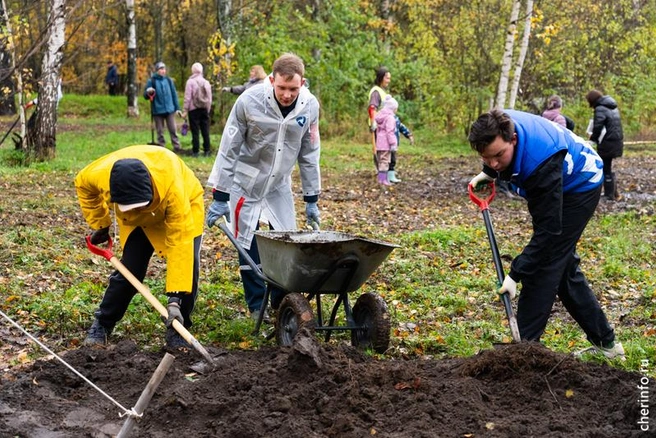 Источник: st.cherinfo.ru