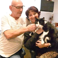 «Был очень худой, слабый, кожа да кости»: французский кот потерялся в Испании и прошел 250 км [почти] до дома