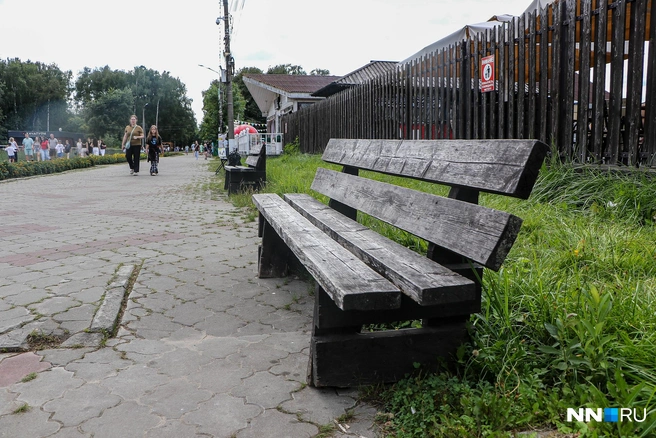 Лавочек в парке явно маловато | Источник: Наталья Бурухина / NN.RU