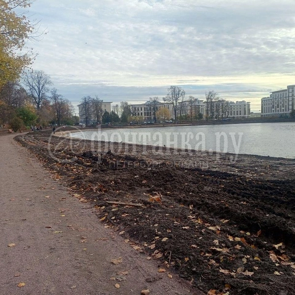 Источник: Ирина Корбат / FONTANKA.RU