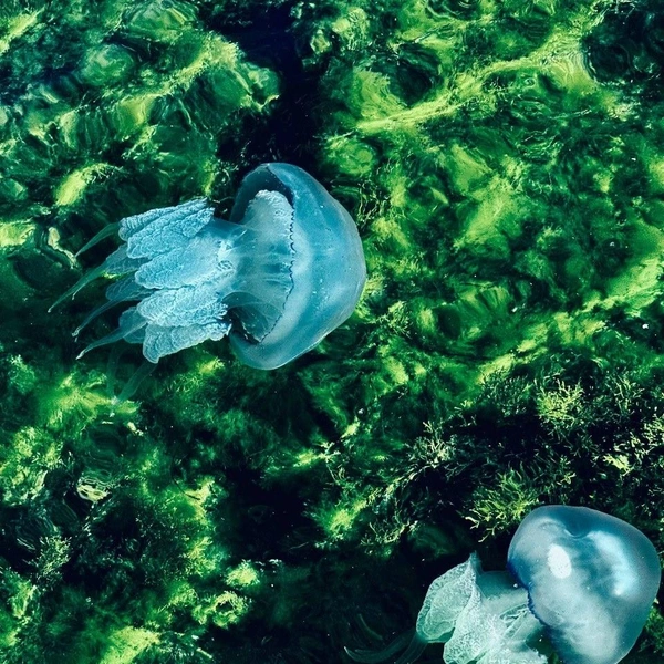 Источник: Бельбекская долина. Крым / Vk.com