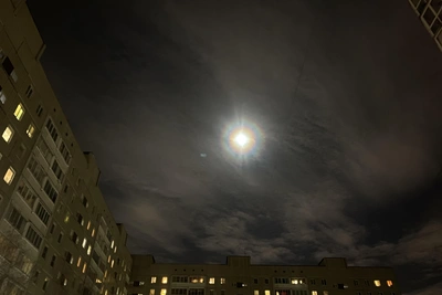 Над Воронежской областью уничтожили два беспилотника