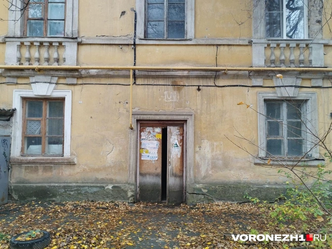 Источник: Дмитрий Волгин / Voronezh1.ru