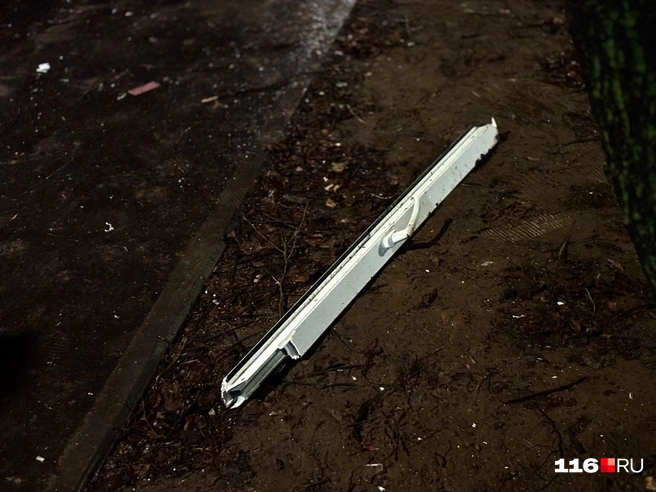 Источник: Регина Алтынбаева / 116.RU