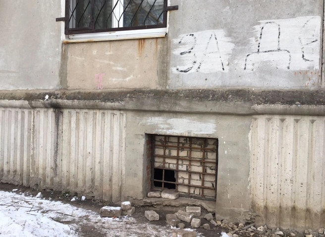 В Канищеве в подвале многоэтажки замуровали собаку | ya62.ru