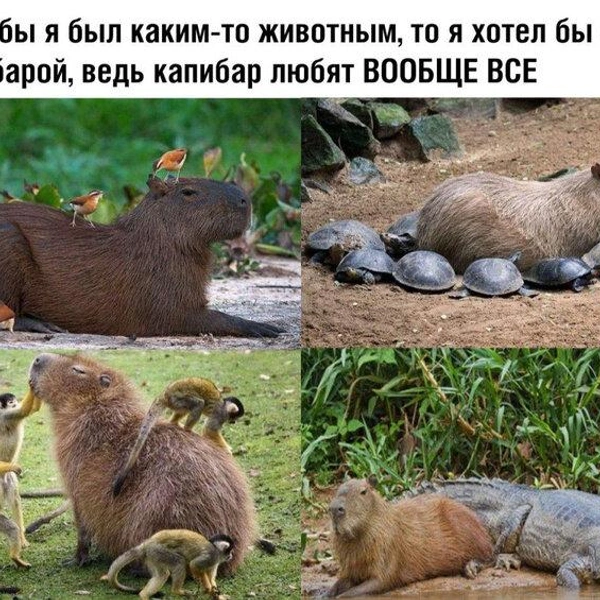Источник: Соцсети