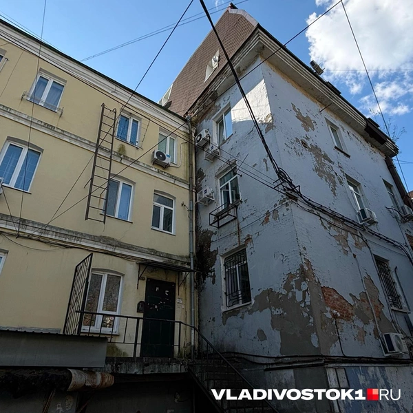 Источник: Елена Буйвол / VLADIVOSTOK1.RU