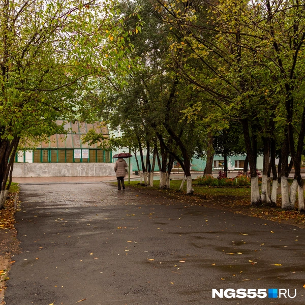 Погода сегодня не особо располагает к выходу из дома | Источник: Кирилл Башинский / NGS55.RU