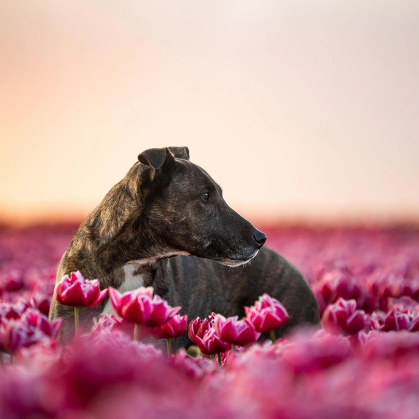 Источник: Rebecca Kostka / CATERS NEWS via Legion Media