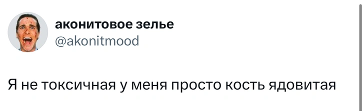 Источник: X (Twitter)