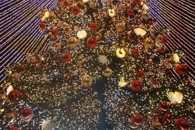 Беспалов приглашает туляков на открытие главной ёлки