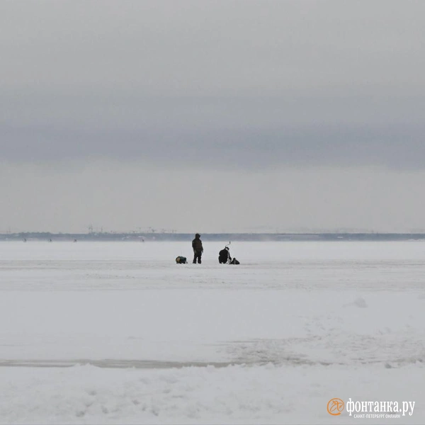 Источник: Андрей Бок / «Фонтанка.ру»