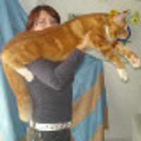 Аватарка marianacoon