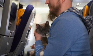 Будут смотреть в окошко: «Победа» разрешит провозить животных, но только в кресле у иллюминатора