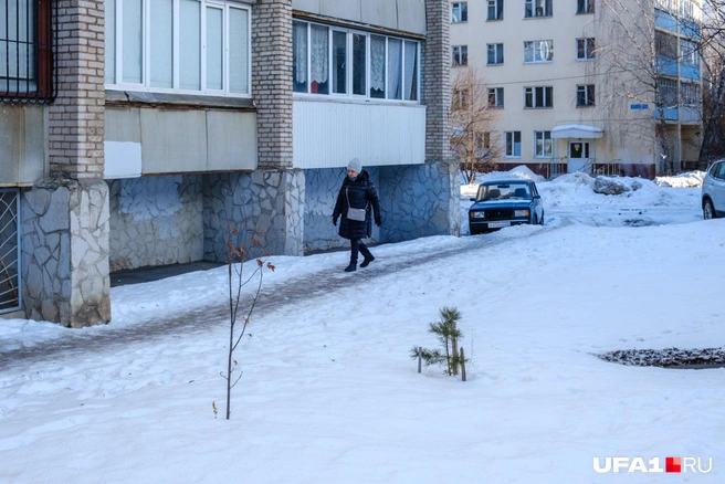 Тропинка покрыта льдом | Источник: Булат Салихов / UFA1.RU