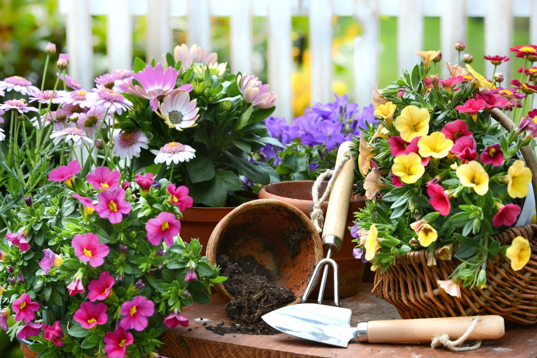 Чтение на выходные: 10 книг про сад и огород | Источник: Legion Media