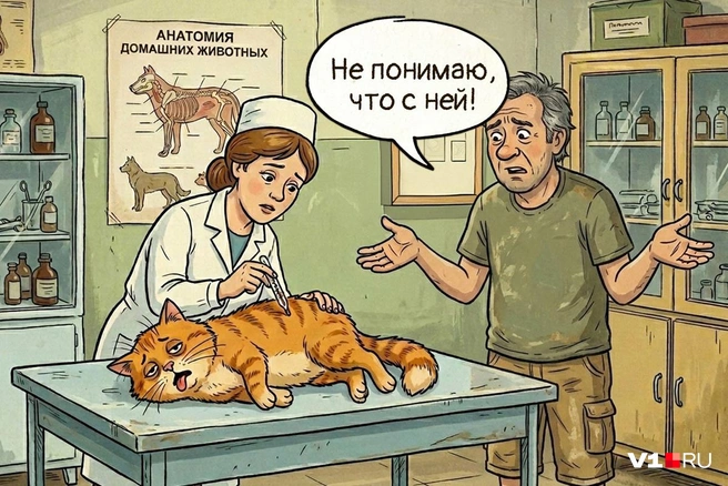 Тепловой удар может быть не только у людей, но и у братьев наших меньших | Источник: Полина Авдошина / Городские медиа