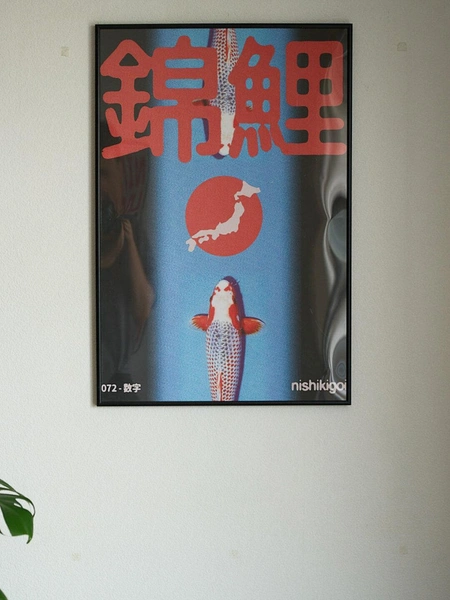 Постер Nishikigoi