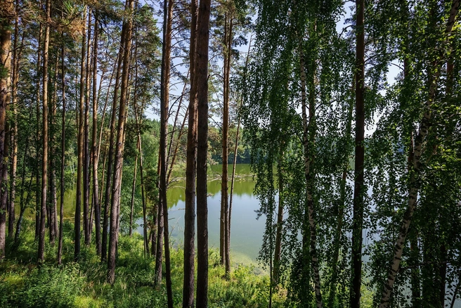 На базе есть разные варианты проживания | Источник: FOR REST