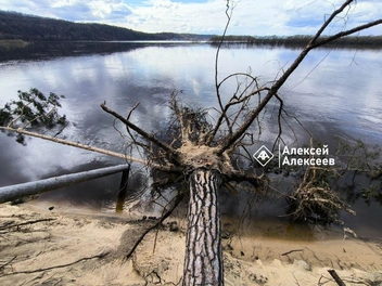 Источник: Алексей Алексеев / t.me