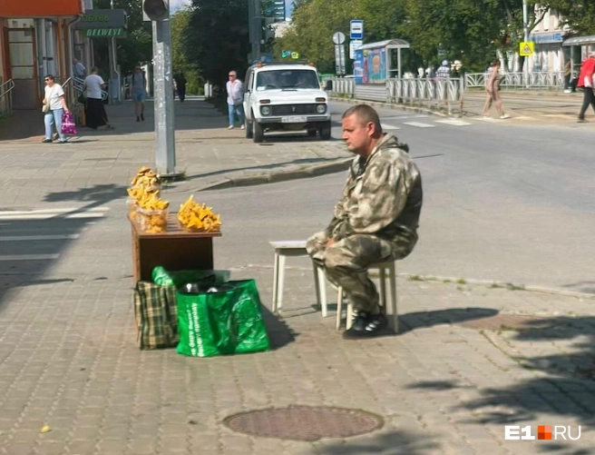 Лисички из окрестностей поселка Дружинино | Источник: Елизавета Хубулава / E1.RU