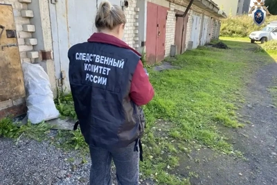 В Шексне возбудили дело об убийстве