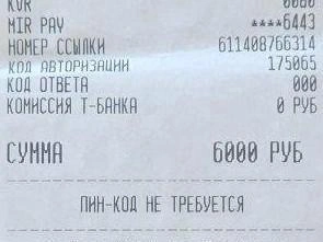 Квитанция об оплате штрафа за продление посадки | Источник: Читатель E1.RU 