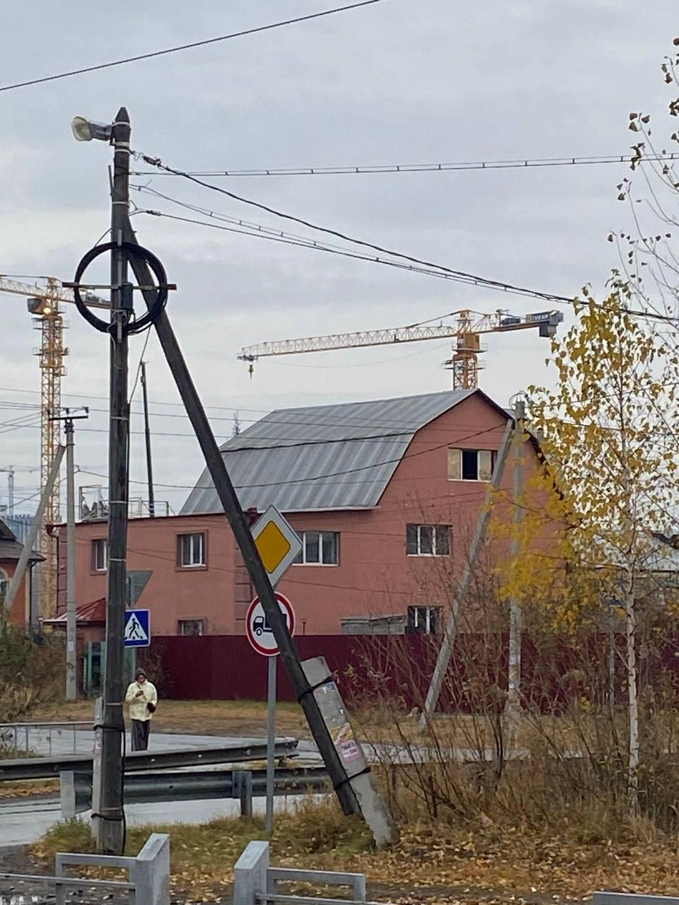 Источник: Лесобаза / Telegram