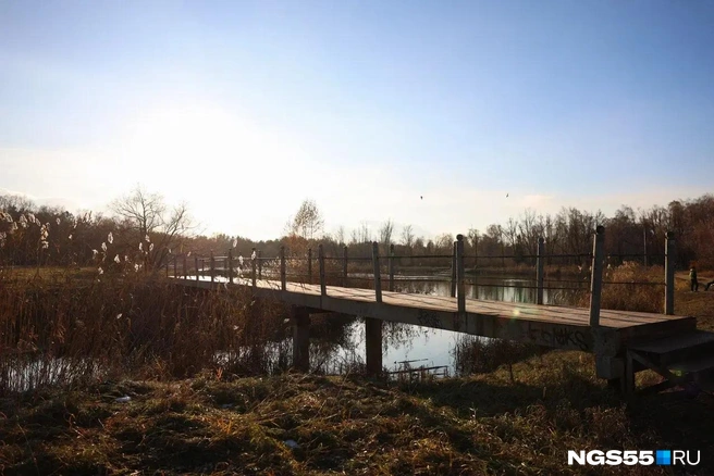 Мосты в парке нуждаются в обновлении | Источник: Евгений Софийчук / NGS55.RU