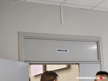 Источник: Андрей Пашинский / Voronezh1.ru