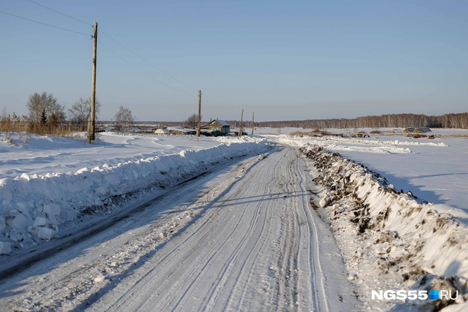 Дорогу пенсионерке помогают расчищать сыновья и глава поселения  | Источник: Евгений Софийчук / NGS55.RU