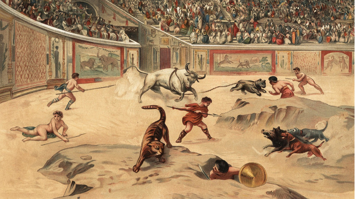 В жестоких представлениях на арене Колизея участвовали таксы. Их останки нашли в канализации
