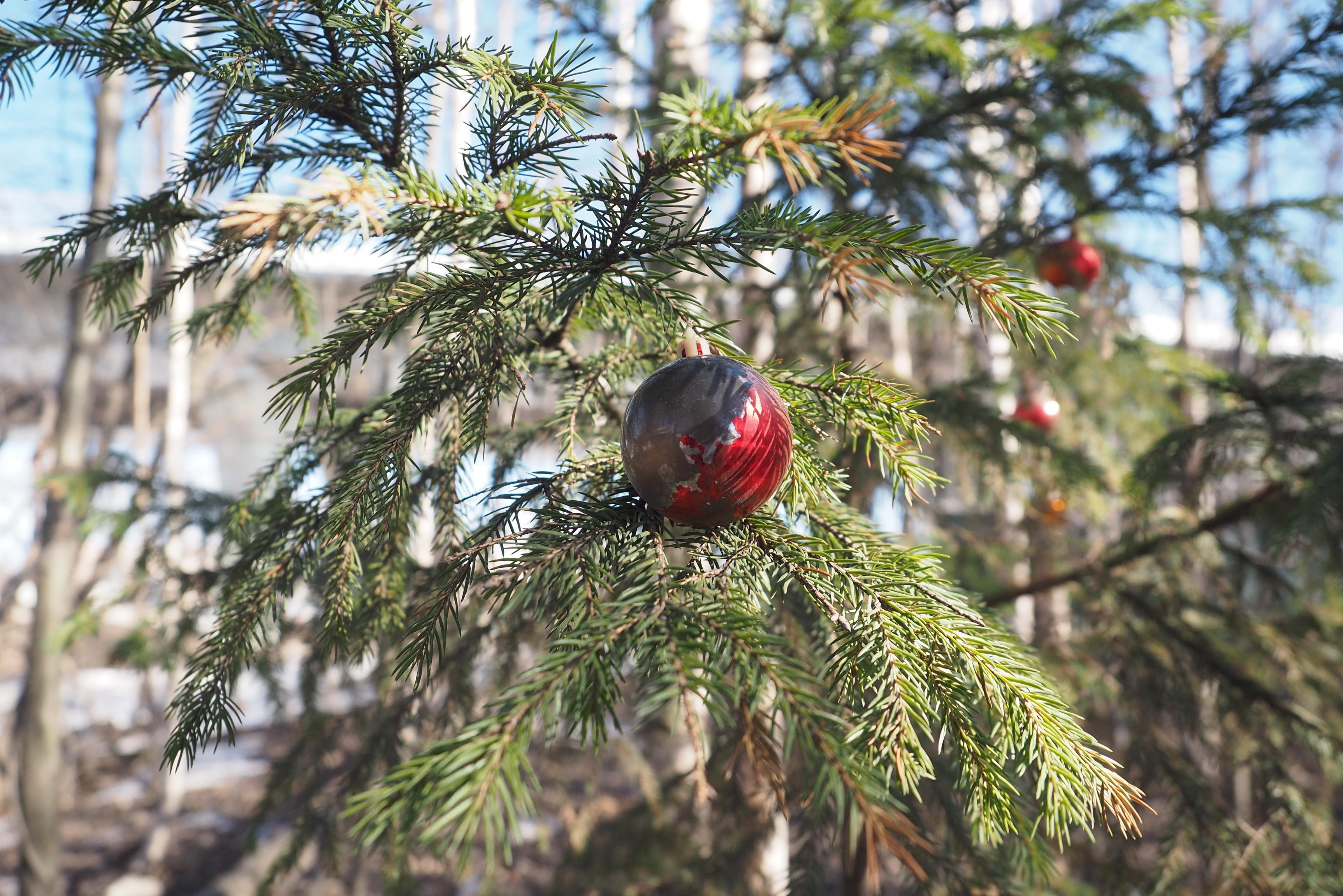 �� ������-��������� � ����� ��������� ������������ ��������: ������ �� ���������? ������� 23 �������