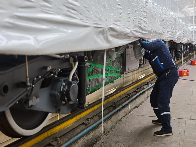 Снятие пленки кажется простым, но требует определенного умения | Источник: Александр Ощепков / NGS.RU