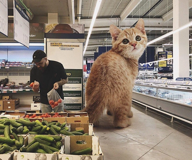 Источник: odnoboko / Instagram.com
