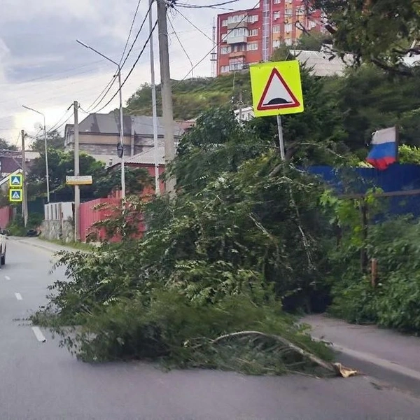 Источник: vl.ru