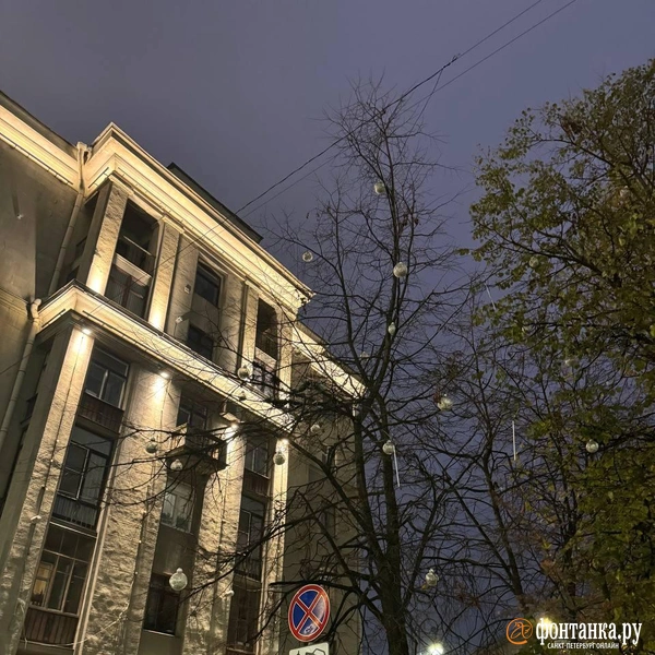 Источник: Ирина Лысак / «Фонтанка.ру»