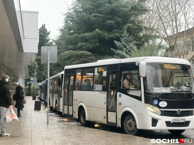 Цены на проезд растут еще из-за необходимости обновления подвижного состава | Источник: Анна Грицевич / SOCHI1.RU