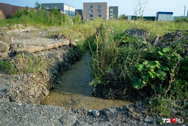 После поворота вода уходит в низменность | Источник: Илья Чикотин / 72.RU