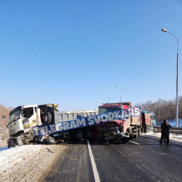 Источник: «Svodka25 l Новости Приморья и Владивостока» / T.me