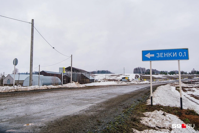 Указатель на деревню, стоящий на основной дороге | Источник: Тимофей Калмаков / 59.RU
