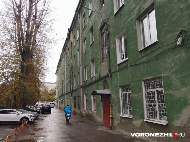 Источник: Дмитрий Волгин / Voronezh1.ru