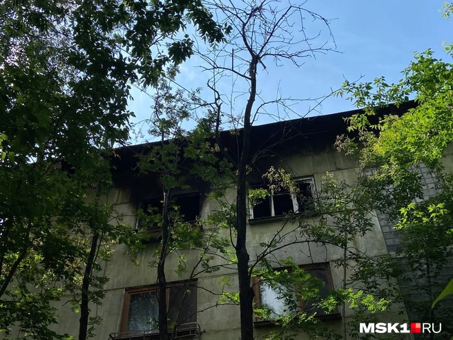 Источник: Нина Иванова / MSK1.RU