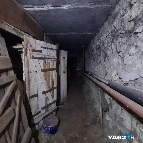 Сам подвал довольно теплый и сухой, но больше похож на декорации для триллера | Источник: Светлана Коновалова / YA62.RU