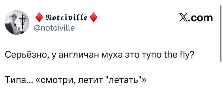 Источник: X (Twitter)