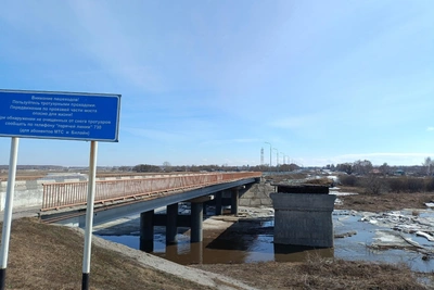 Паводок подтопил дома в Кочковском районе, уровень воды — 4,4 м