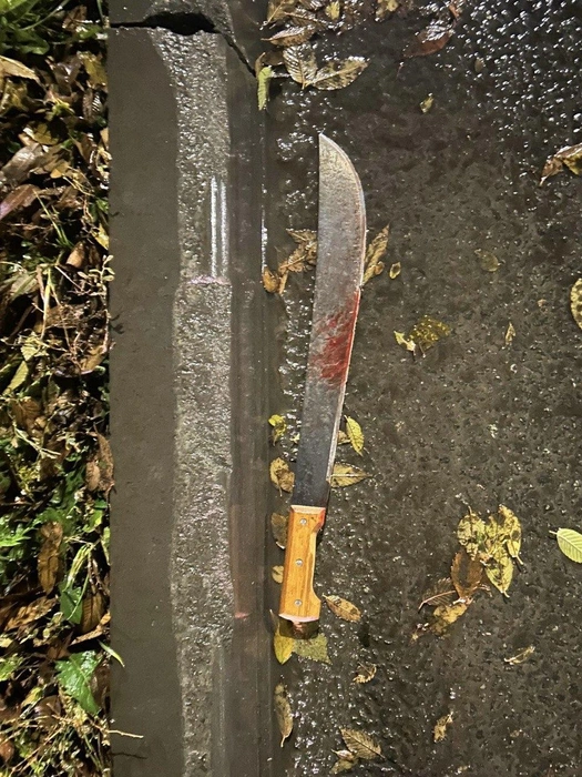 В Челябинске ревнивец с мачете изрезал бывшую жену и ее мужчину на глазах у ребенка | Источник: ГУ МВД России по Челябинской области